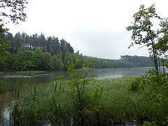 Jezioro Skąpe