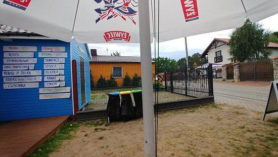 Bar Dzika Rybka